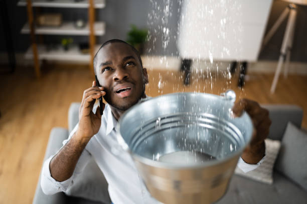 Best 24/7 water damage repair  in Monmouth, IL