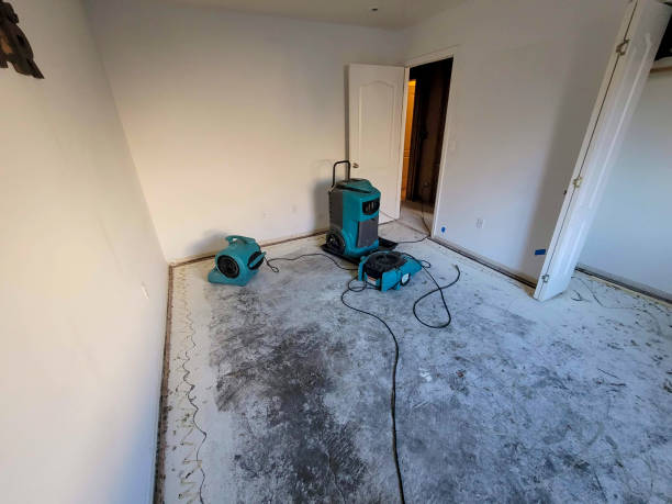 Best 24-hour water damage restoration  in Monmouth, IL