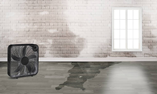 Best Residential water damage restoration  in Monmouth, IL
