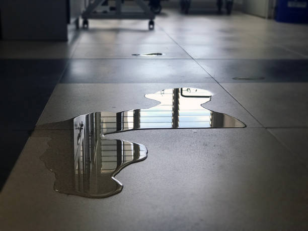 Best Commercial water damage restoration  in Monmouth, IL