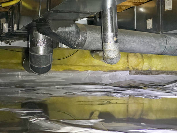 Best Flooded house restoration  in Monmouth, IL