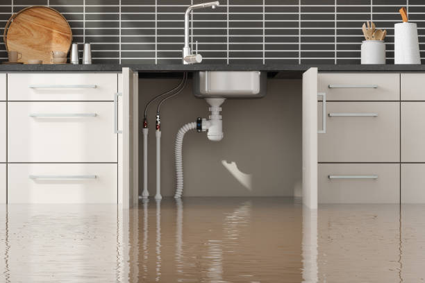  Monmouth, IL Water damage restoration Pros