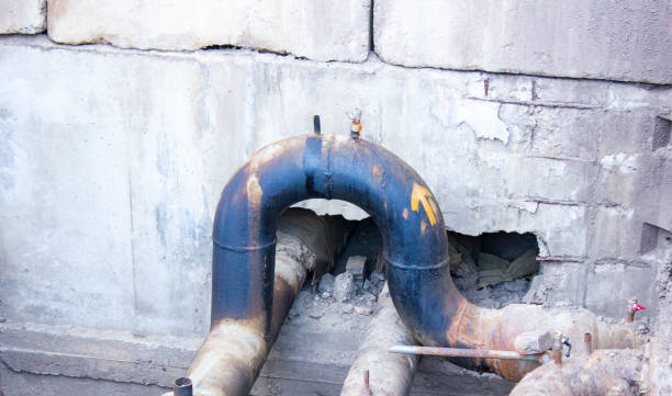 Best Professional water damage repair  in Monmouth, IL