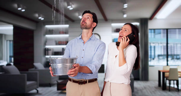 Best Water damage restoration cost  in Monmouth, IL