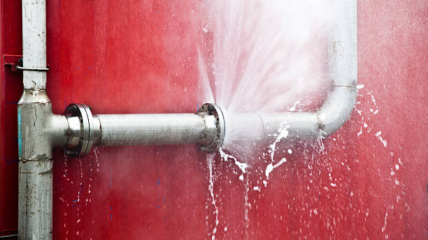 Best Local water damage restoration  in Monmouth, IL